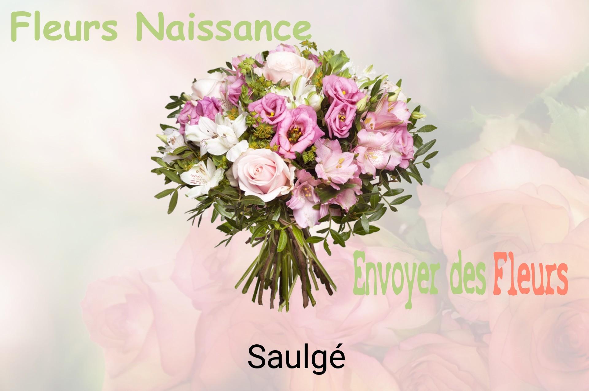 Bouquet de fleurs de naissance livré à Saulgé